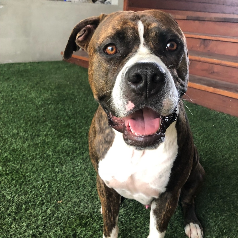 Meet your Posher, Lizeth